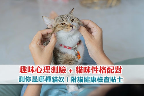 你是哪種貓奴-趣味心理測驗-貓咪性格配對-附健康檢查貼士